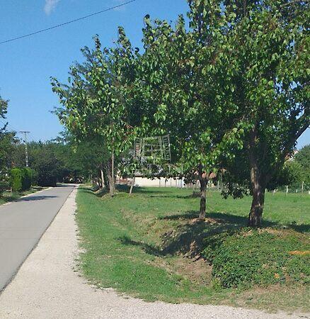 Megosztható, Pázmánd képe