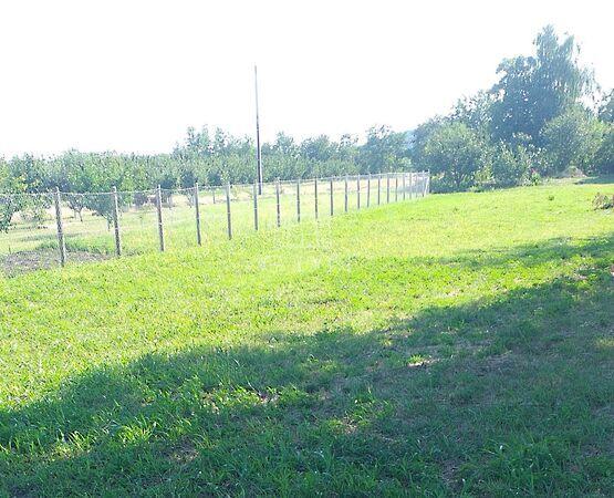 Megosztható, Pázmánd 2. képe