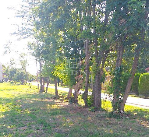 Megosztható, Pázmánd 3. képe