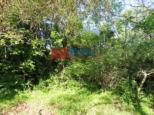 Badacsonytomaj 2. képe