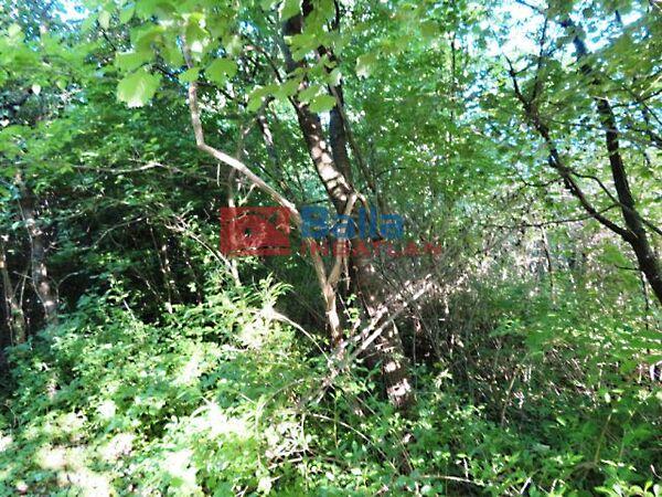 Badacsonytomaj 3. képe