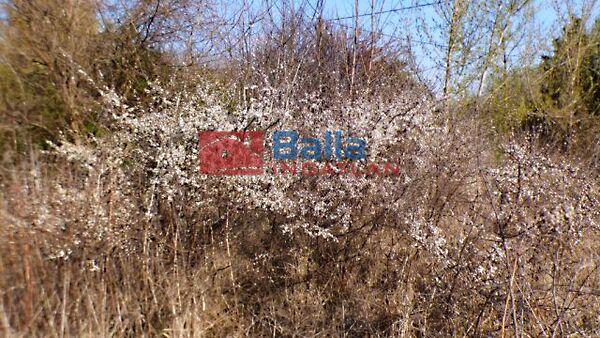 Békásdűlő, Siófok 3. képe