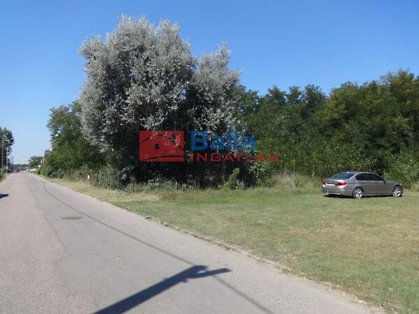 Kerekdomb, Tiszakécske képe