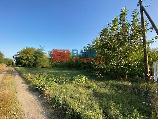 Kartali, Kerekharaszt 2. képe