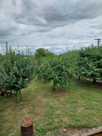 Petőfi, Ajak 3. képe