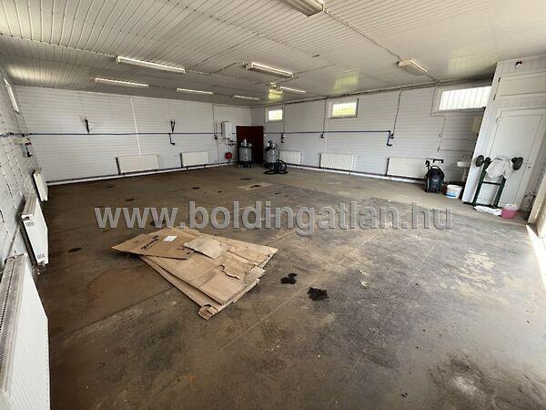 Tanép, Kaposvár 2. képe