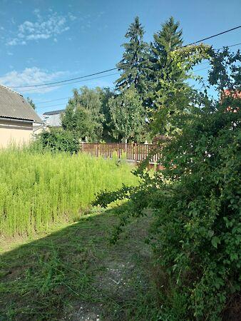 Kossuth, Tornyospálca 3. képe