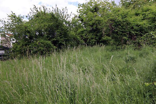 Gyenesdiás 2. képe