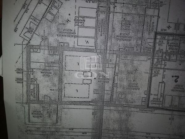 Alig, Dabas 2. képe