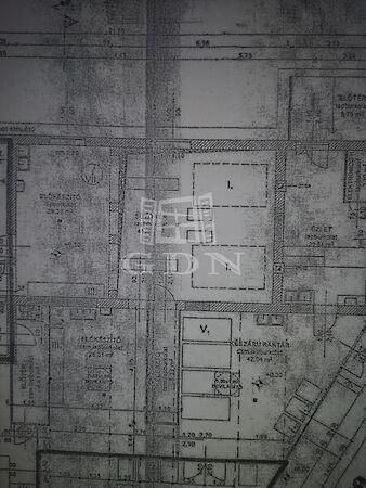 Alig, Dabas 3. képe