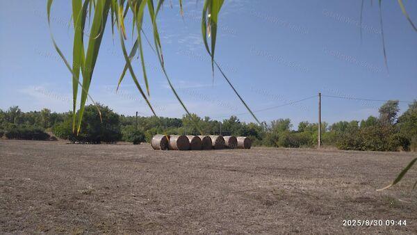 Mesterszállás képe