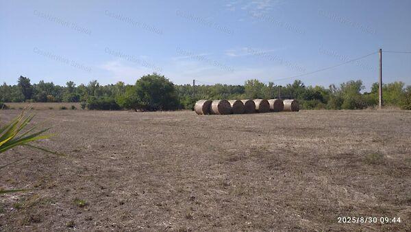 Mesterszállás 2. képe