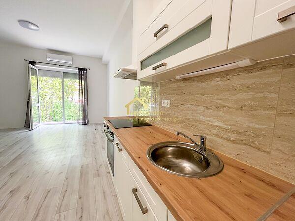 Orgona, Csorna képe