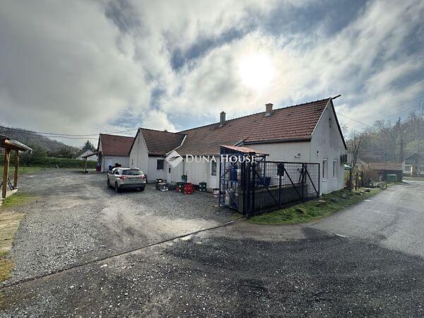 Ady Endre, Kárász képe