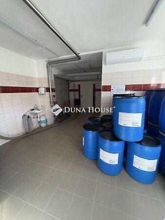 Ady Endre, Kárász 3. képe