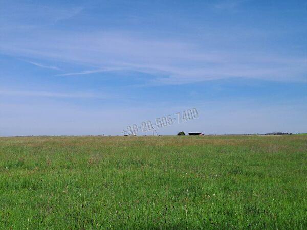 Tiszafüred 2. képe