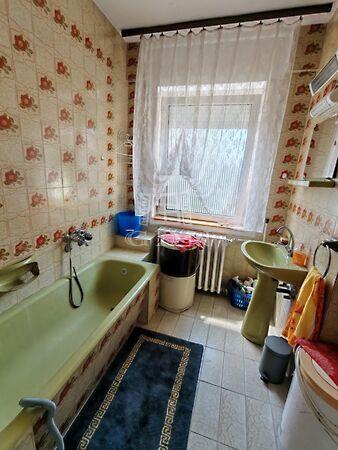 Meggyfa, Baja 2. képe