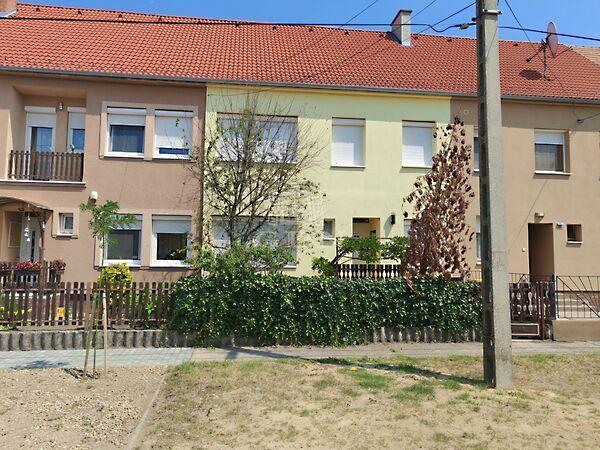 Meggyfa, Baja 3. képe