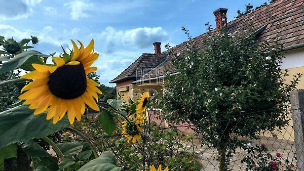 Falusi otthon, nagy, Somogyszentpál képe