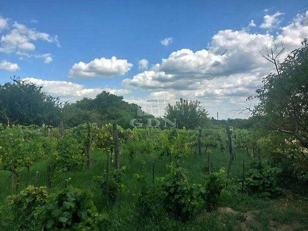 birtok, hangulatos, Marcali 3. képe