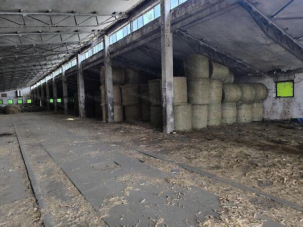 Rákóczifalva 3. képe