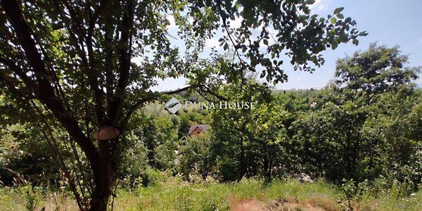 Tulipánkert, Eger képe