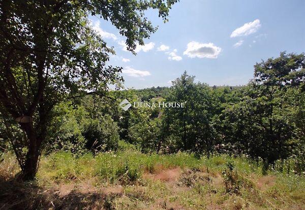 Tulipánkert, Eger 2. képe