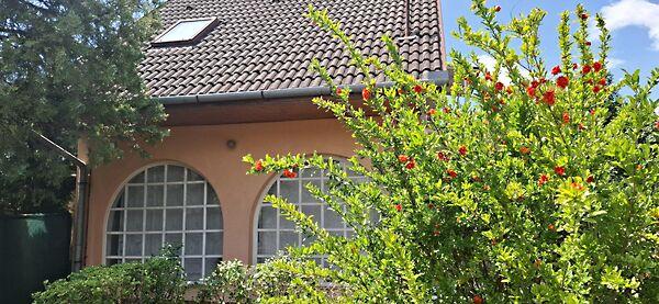 Balatonfenyves képe