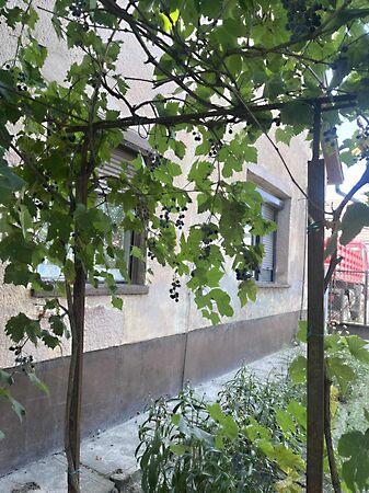 Szabadszállás képe