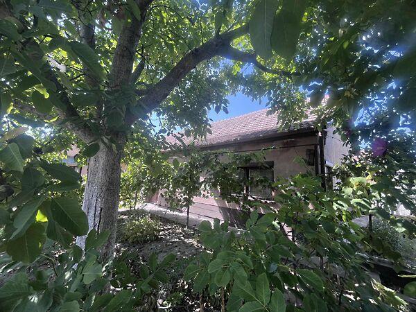 Szabadszállás 3. képe