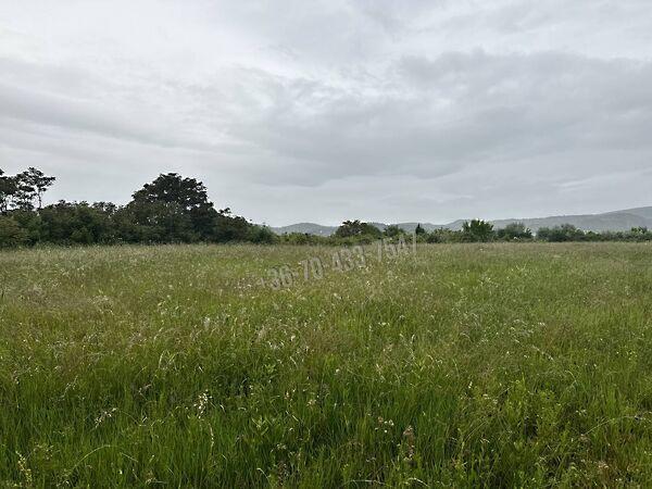 Törökbálint képe