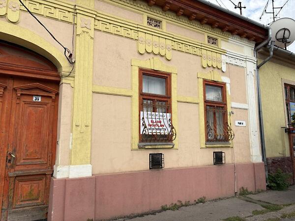 Petőfi, Hódmezővásárhely képe