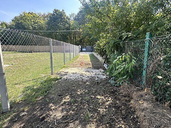 Hunor, Balatonvilágos 2. képe