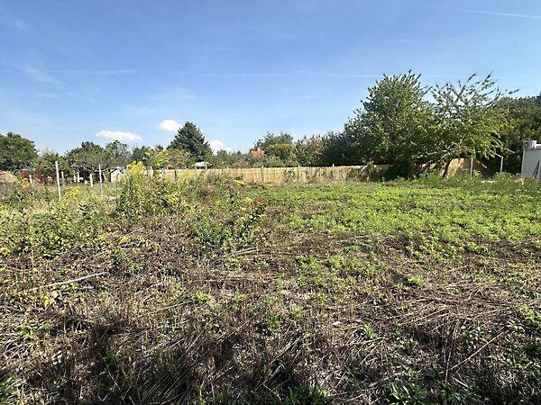 Hunor, Balatonvilágos 3. képe