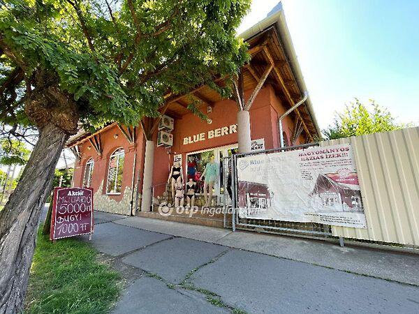 Kisújszállás 2. képe