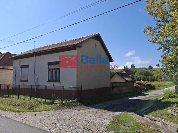 Kossuth Lajos, Sáta képe