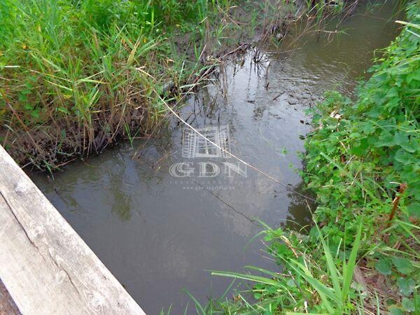 Rét, Pécel 2. képe