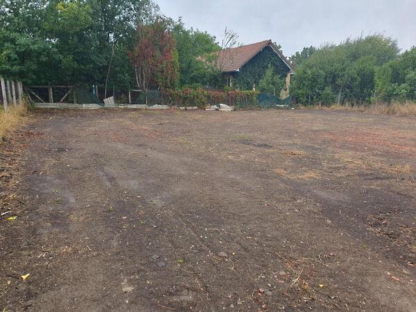 Balogh János, Szentes képe