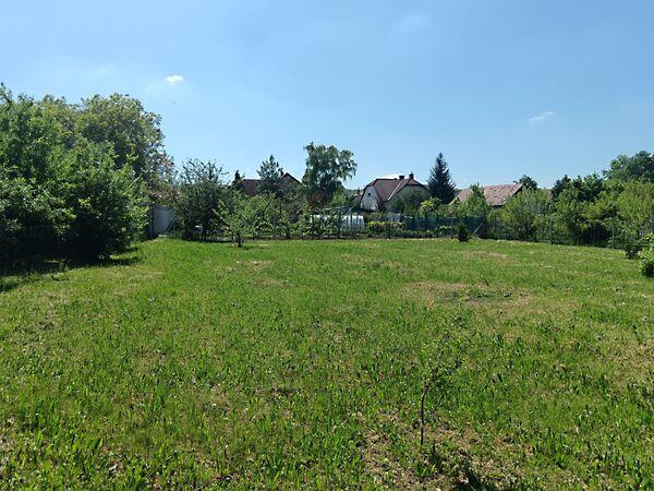 Központi, Nyúl 2. képe