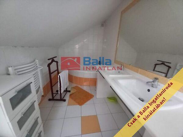 Botond, Budapest, III. kerület képe