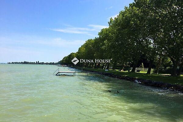 Hunyadi János, Balatonboglár 3. képe