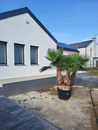 Százhalombatta 2. képe