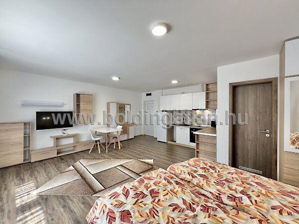 Pécsi, Kaposvár 3. képe