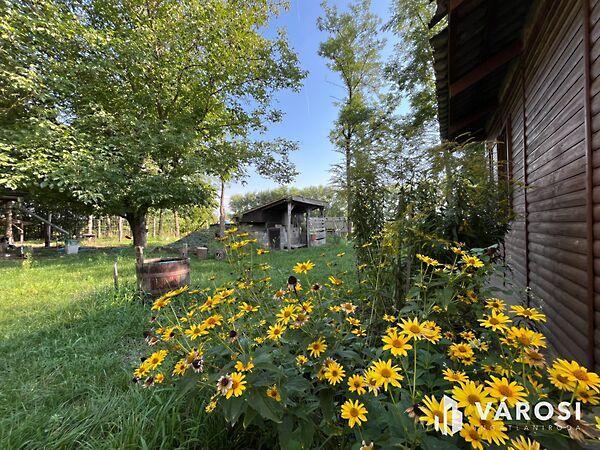 Debrecen, Debrecen 2. képe