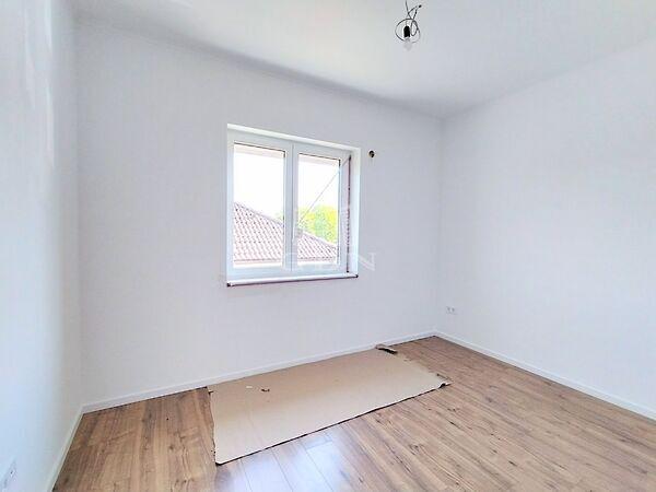 Borvirág, Mogyoród képe