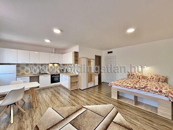 Pécsi, Kaposvár 2. képe