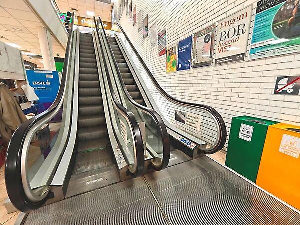 Pázsit, Budapest, II. kerület 3. képe