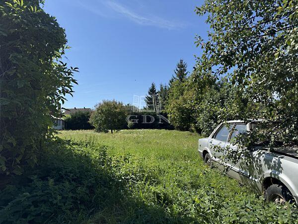 Dózsa György, Bodajk 2. képe