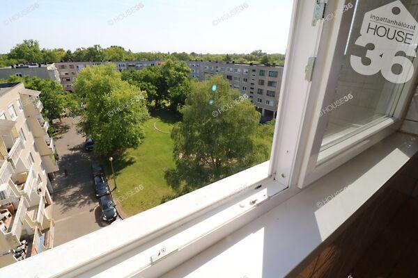 Kiskunhalas 2. képe