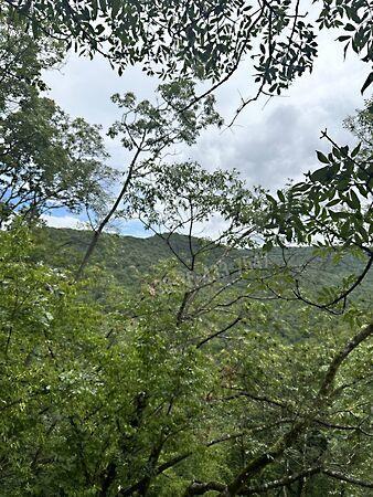 Törökbálint képe